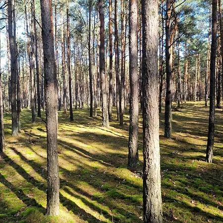 Casa de Férias Dom Pod Niebem Lucimia