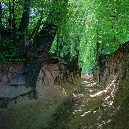 Dom Pod Niebem Casa de Férias