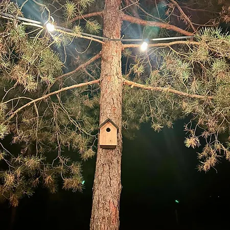 Dom Pod Niebem