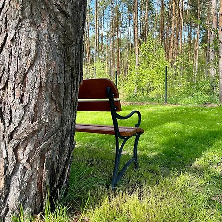 Dom Pod Niebem *