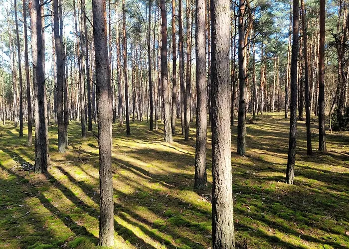 Holiday home Dom Pod Niebem Lucimia